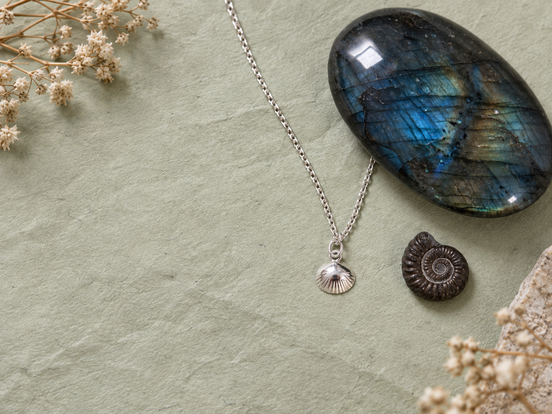 Scallop Shell Symbolism: Meaning, History & Spiritual Significance