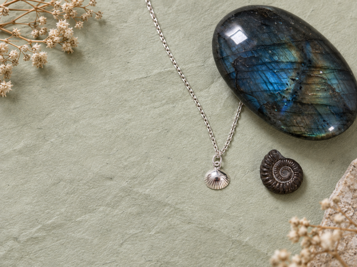 Scallop Shell Symbolism: Meaning, History & Spiritual Significance