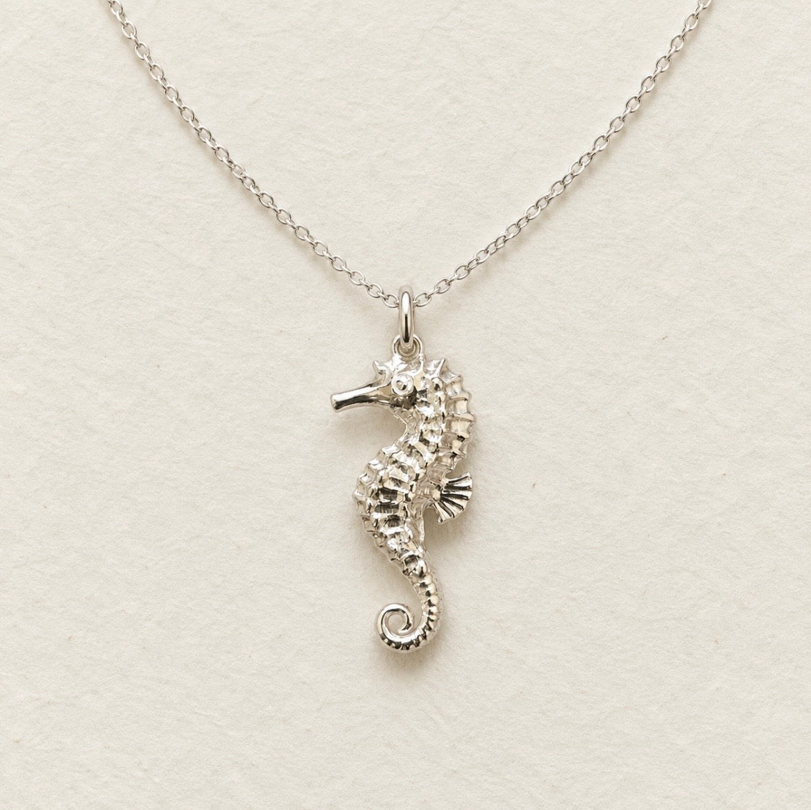 Sterling Silver Seahorse Necklace