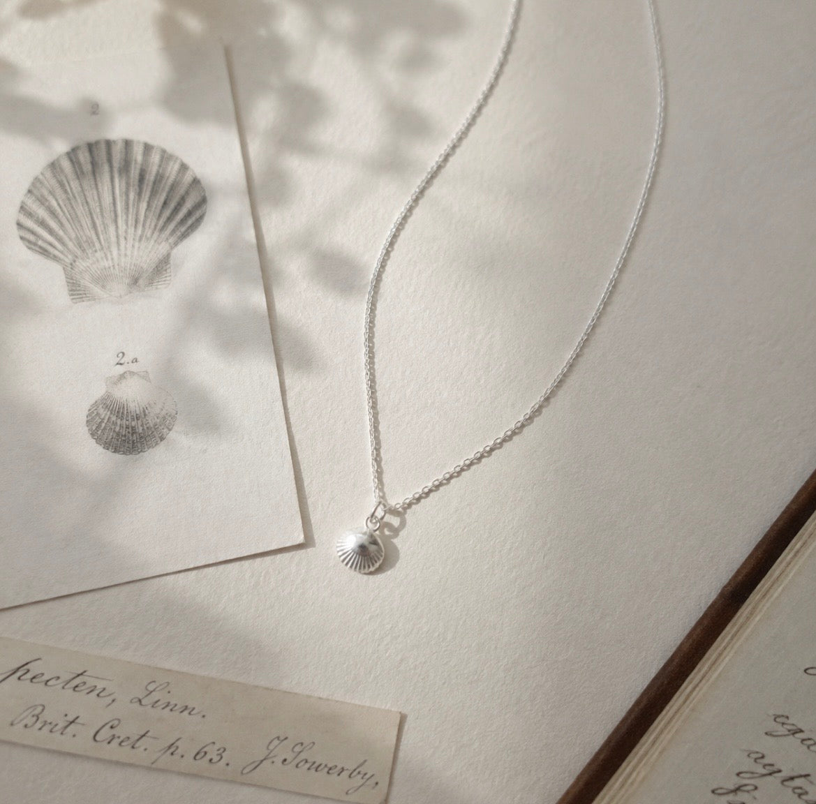Tiny Sterling Silver Scallop Shell Necklace