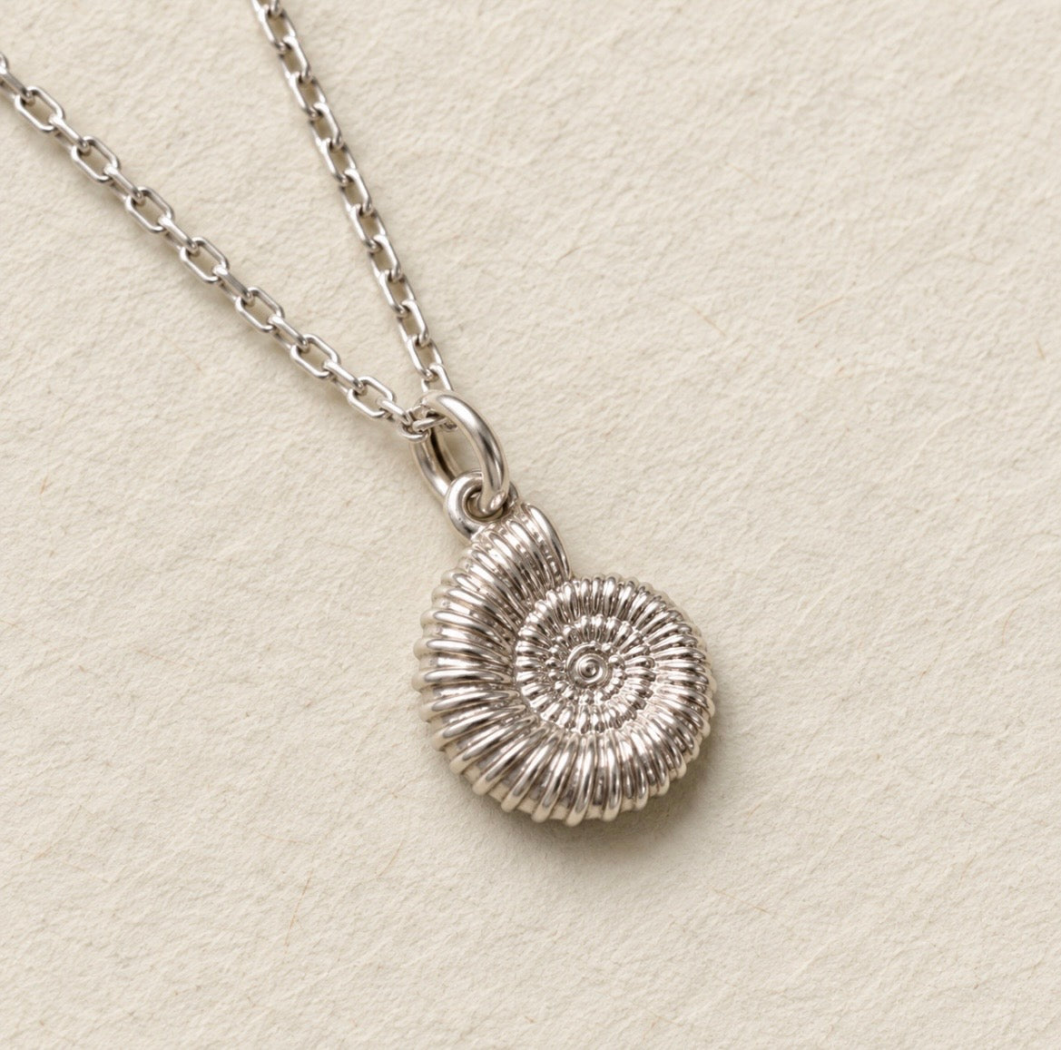 A sterling silver necklace featuring a detailed spiral ammonite shell pendant, displayed on a textured beige background.