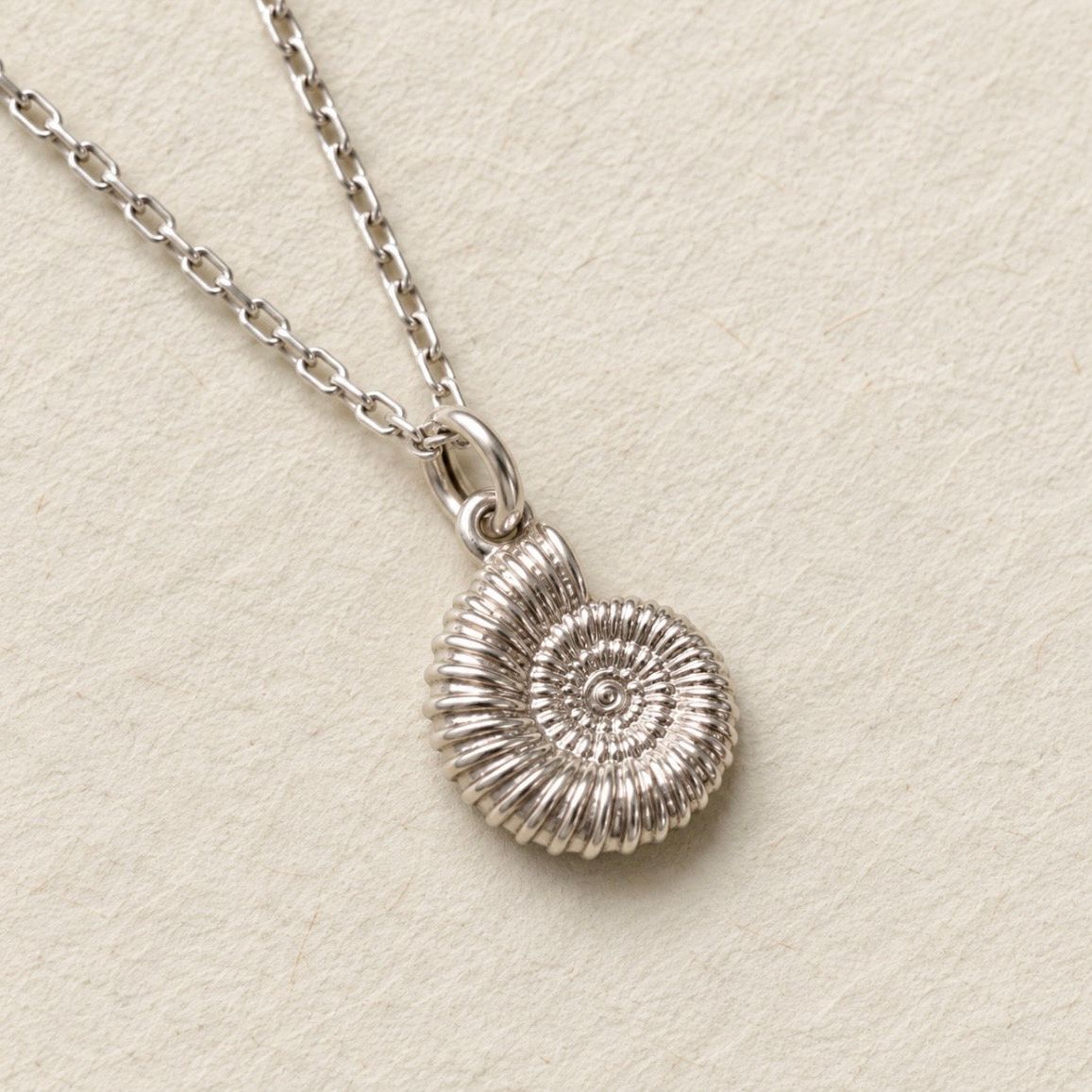 A silver chain necklace with a detailed spiral ammonite shell pendant, displayed on a textured beige background.