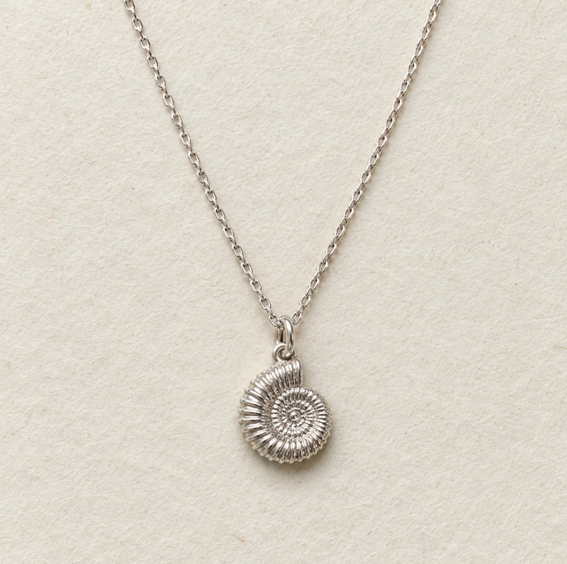 A silver chain necklace with a small spiral ammonite pendant, displayed on a textured off-white background.