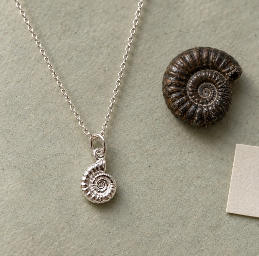 A silver necklace with a spiral ammonite shell pendant, displayed on a textured sage green background next to a real ammonite fossil.