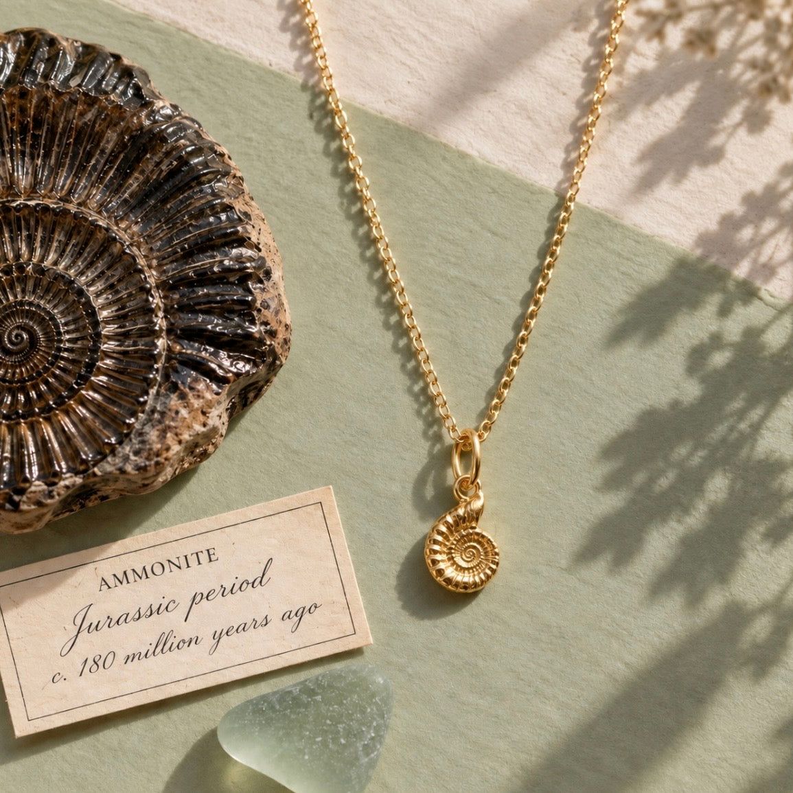 A gold necklace with a spiral ammonite shell pendant is displayed on a light sage green surface next to a real ammonite fossil, a small card reading 'AMMONITE Jurassic period c. 180 million years ago', and a piece of sea glass under dappled sunlight.