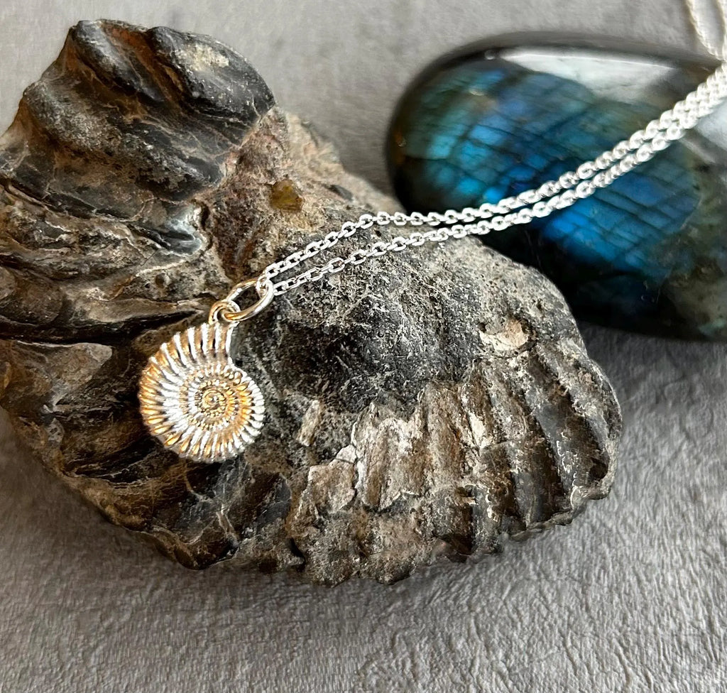 Large ammonite pendant