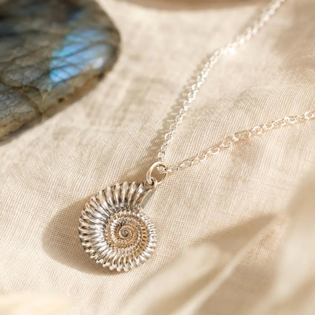 Large ammonite pendant