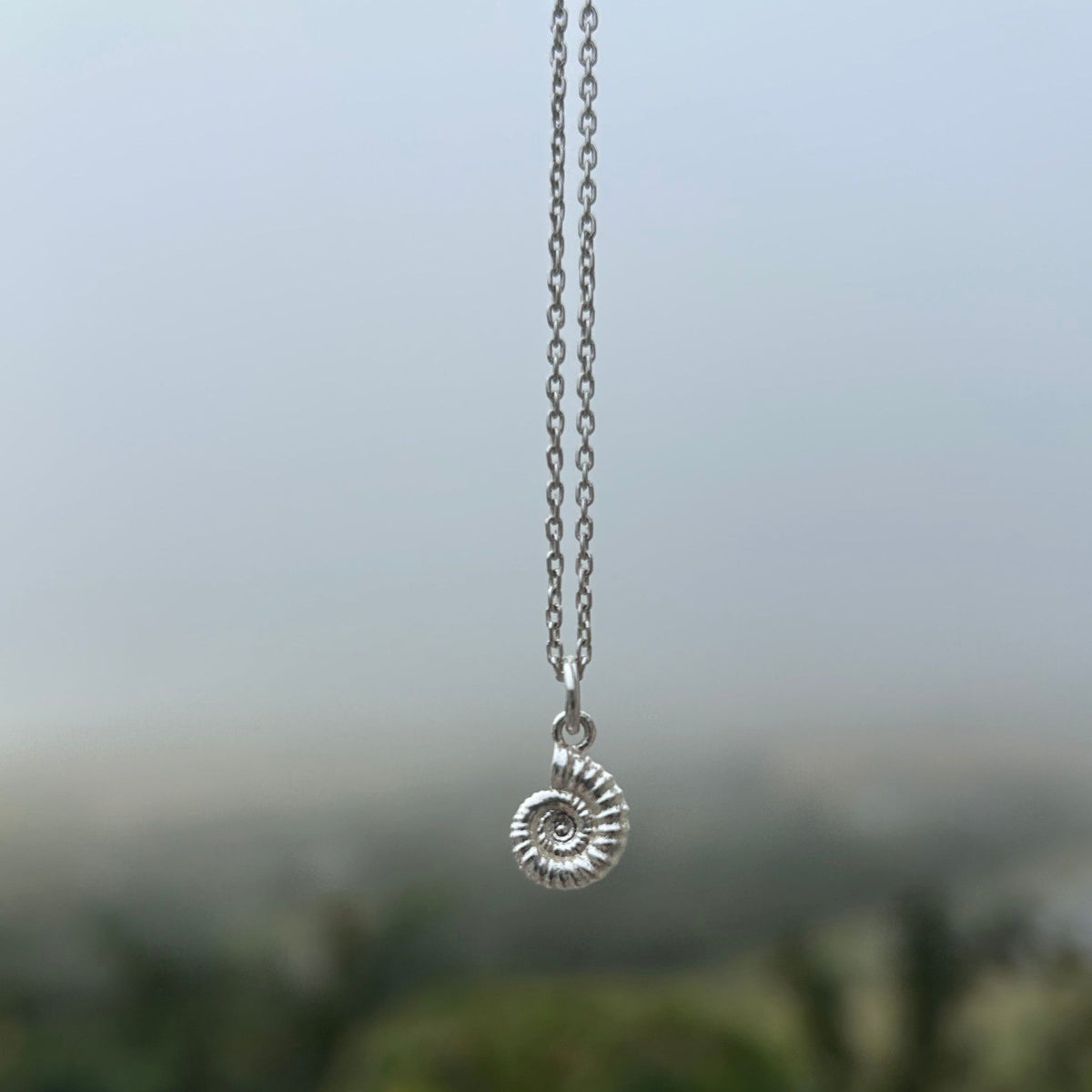A silver chain necklace with a small spiral ammonite pendant, shown against a blurred outdoor background.