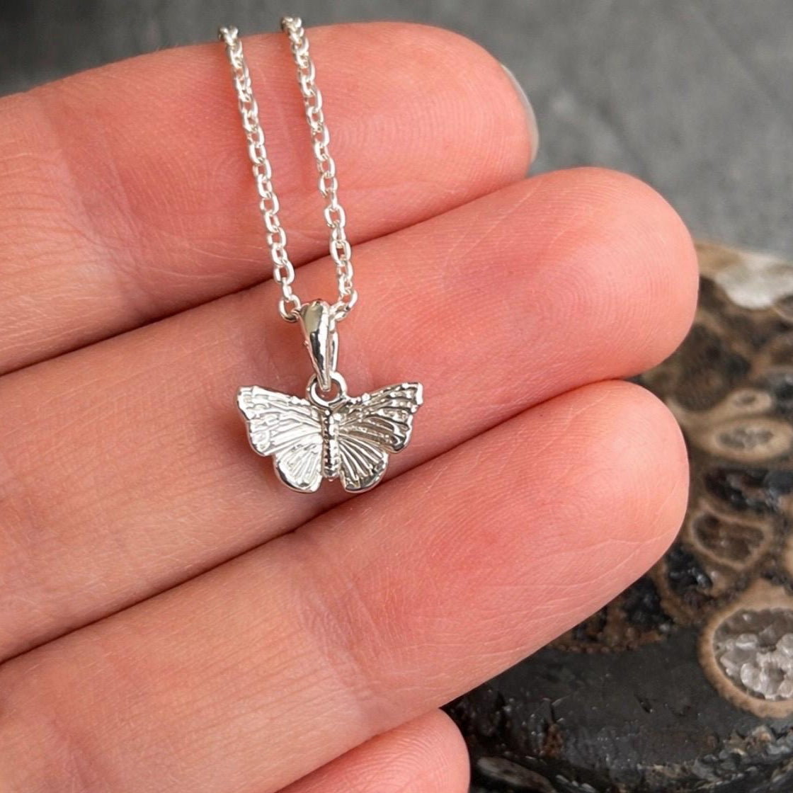 A silver butterfly pendant necklace on a delicate silver chain, held in a person's hand against a dark textured stone background.